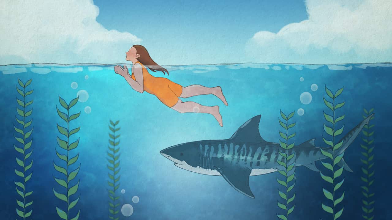 An illustration showing an underwater scene of a woman swimming with a shark nearby.