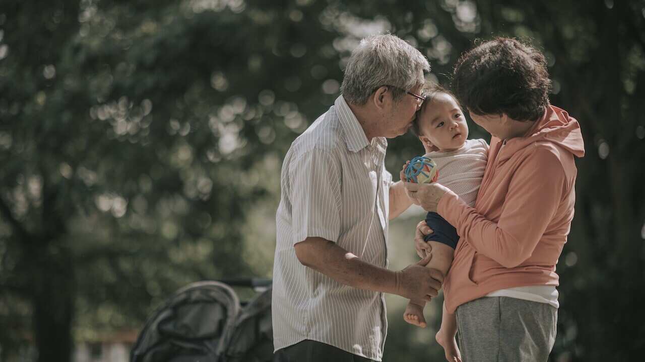asian chinese grandparent bonding with their baby boy grandchild in public park in the morning