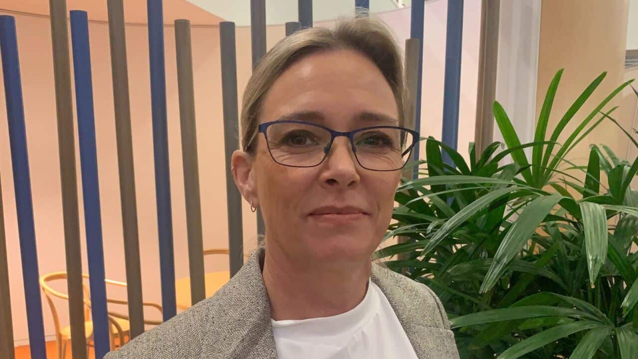 a woman with glasses and an updo smiles into camera an office in front an indoor plant